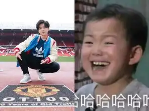 鹿晗熬夜看曼联逆转感动哭喜发表情包反挨骂别黑我民国