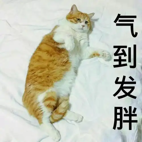 猫系少年图片头像女表情