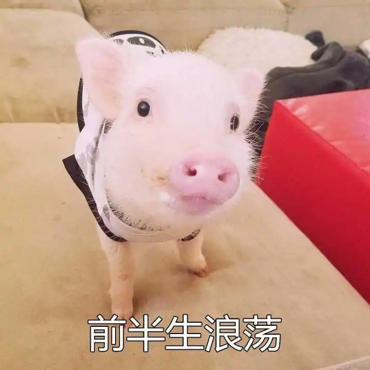 表情怎么样才可以改掉熬夜的习惯表情
