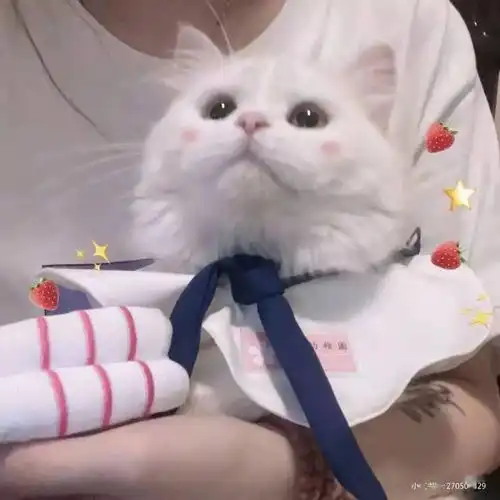 生活匆忙别错过晚霞也别忘记想念