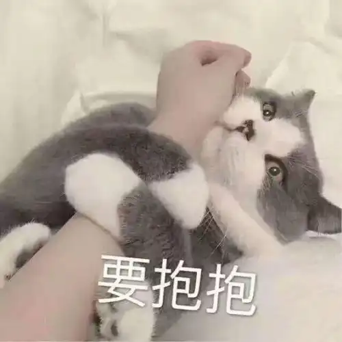 十条段子我忍你很久了,你再调戏我一次试试