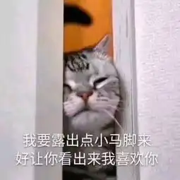 我要露出点小马脚来好让你看出来我喜欢你热门表情包原图精选2018715斗图表情