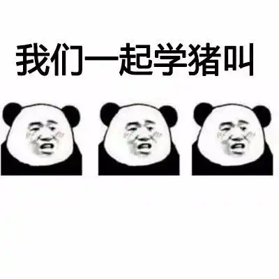 猪动图表情包抖音