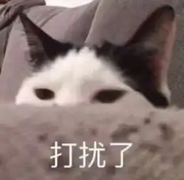 小猪佩奇是我不够骚嘛表情包最近超火表情包合集