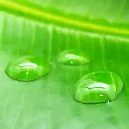 qq网名qq头像qq分组qq个性签名qq网名大全扣扣居