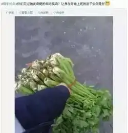 佛系的我也没法淡定了,你的年终奖发了吗多少