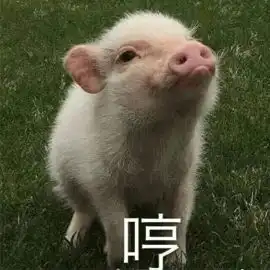 逆天尬聊神功客服