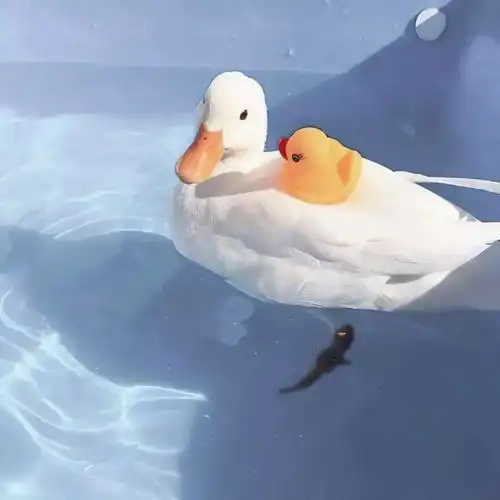 不要眼眶一红就觉得人间不值得