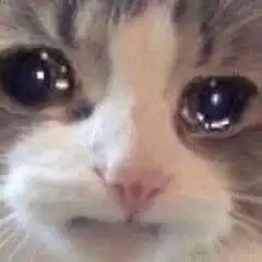 算了