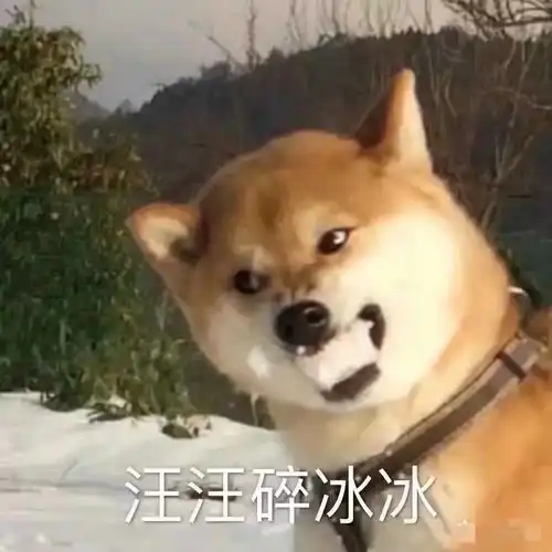 一些好吃的