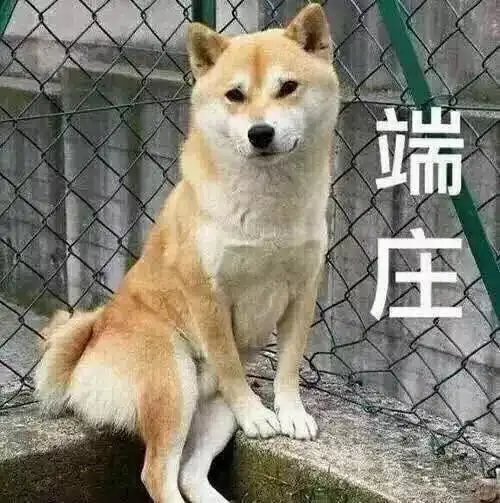 虹口崛起北外滩这个新地标嗲的伐得了,年底就要开业迎客