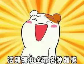 怎么形容你的厨艺萌化了老夫的少女心