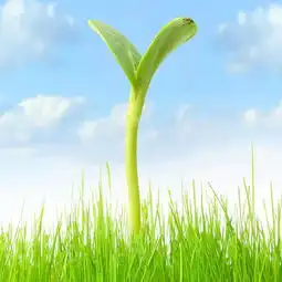 qq网名qq头像qq分组qq个性签名qq网名大全扣扣居