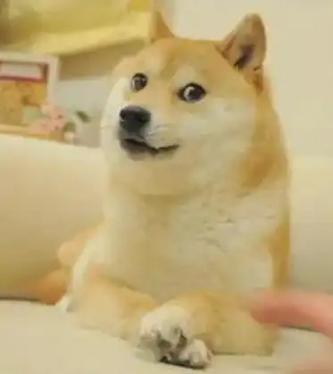 卡波苏