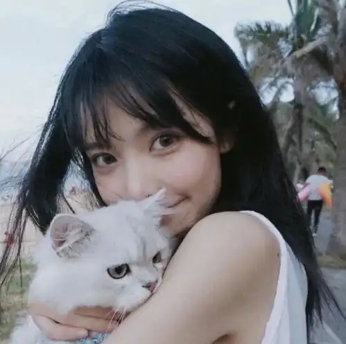 猫咪头像真人系头像图片