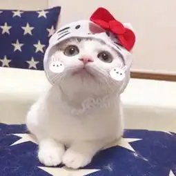 这个头像是情侣头像吗