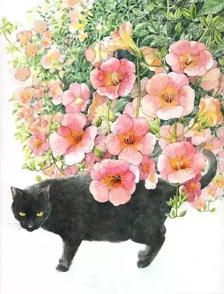 遇见了一只猫,山田绿画笔下的猫天堂