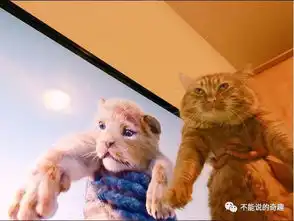 狮子王真人版掀起模仿热潮,宠物甚至孩子都成为网友恶搞对象