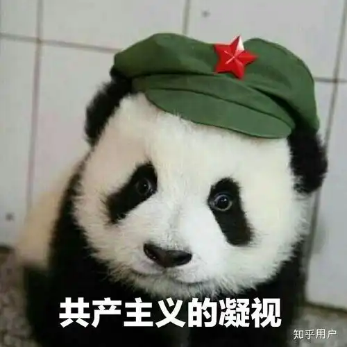 有没有记得12年左右小说绘某一期的一个微小说