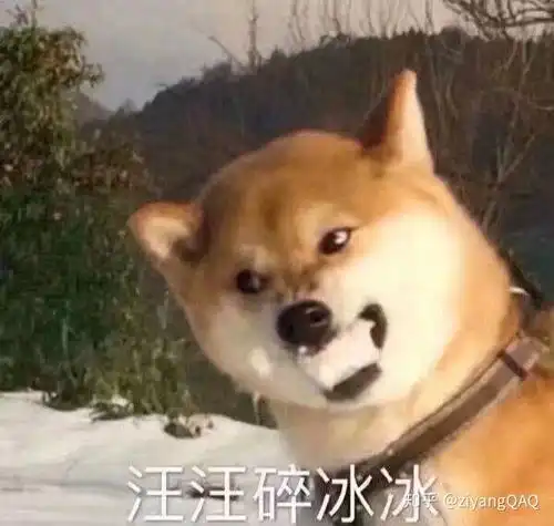 谷歌商店下载软件显示无法安装怎么办