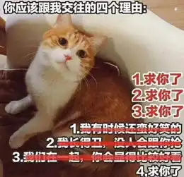 高清禁欲系情侣头像带猫