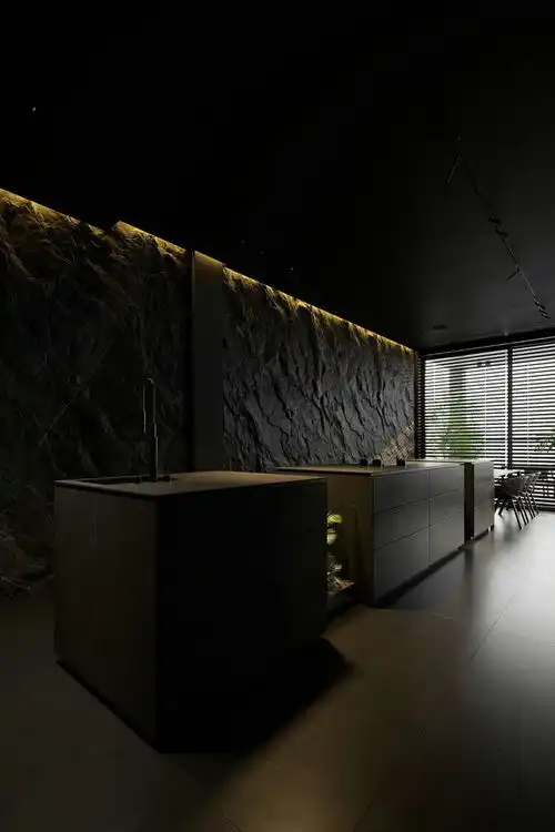 house设计黑色绿植通透主义彩光源