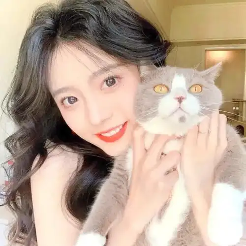 抱猫女生头像你有可爱的猫猫嘛你没有我有嘿嘿