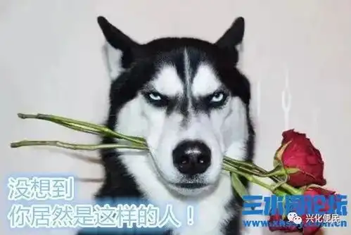 兴化某知名医院竟如此水平