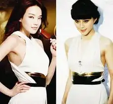 舒淇范冰冰华丽撞衫13次演绎优雅甚是壮观
