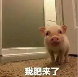 个旧人来一句好调侃自己的家乡