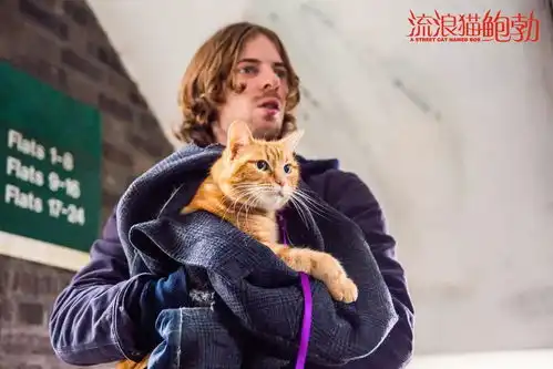 准备好迎接11月热门影片的暴击了吗
