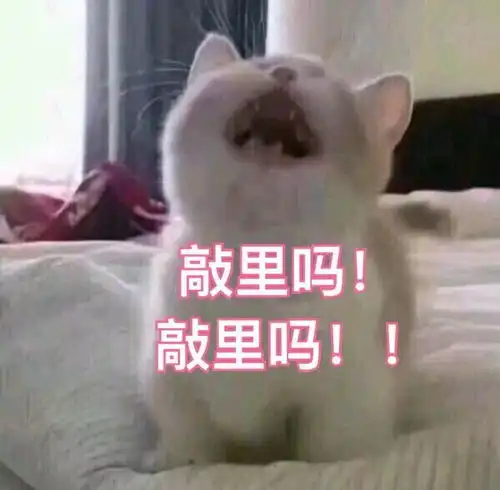 豆瓣9.8的美剧,让美国人民在麦当劳门口打了起来,还惊动了警察...