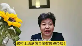 30户农民将土地承包给他人,对方拿到政府补贴后消失该怎么办