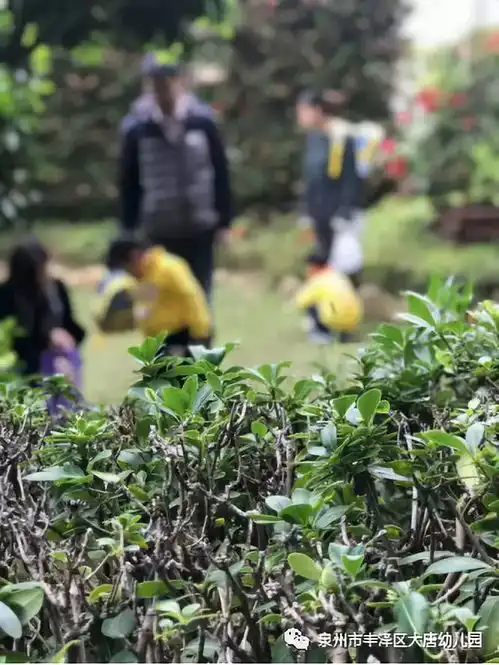 拥抱春天,播种绿色植树节系列篇二
