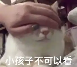 冈本出出香水了看得我老脸一红