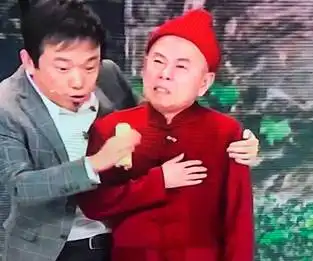 鸡年春晚,你最喜欢谁的节目正确的观看姿势在这里