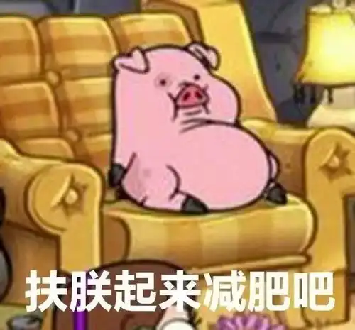sfl爱生活北京寒冬生存指南