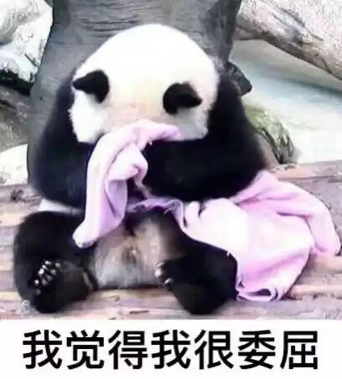 假如龙泉5天没有城管,生活会是怎样结果很意外