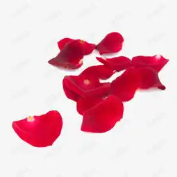 一堆玫瑰花瓣素材图片免费下载高清png千库网图片编号8209531