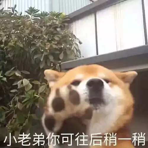 广东山竹正式上线,为第二天上班的同事们,心疼1秒