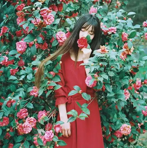 女生欧美小清新气质头像女头森堆糖,美好生活研究所