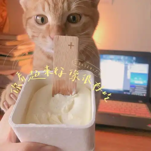 治愈系暖男小橘猫求一个温暖的家