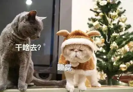 今日表情包精选9.4