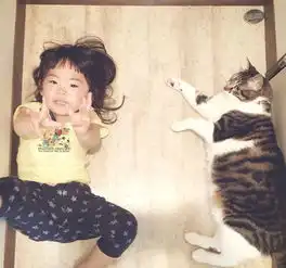 萌宠镜头下的两个小天使,让猫咪陪着孩子成长