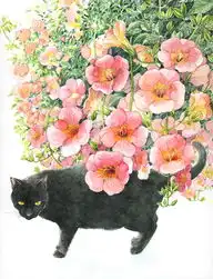 爱插画爱生活