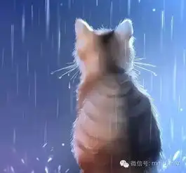 可爱的猫咪精灵