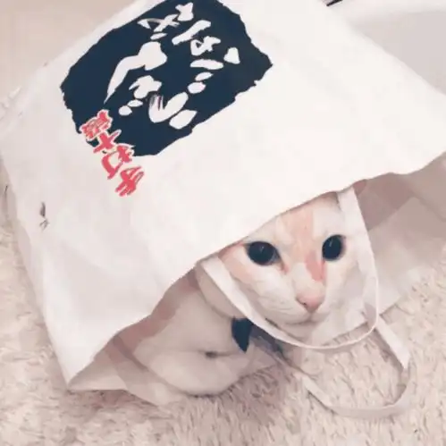 女人出生的月份,代表了性格和人生的秘密