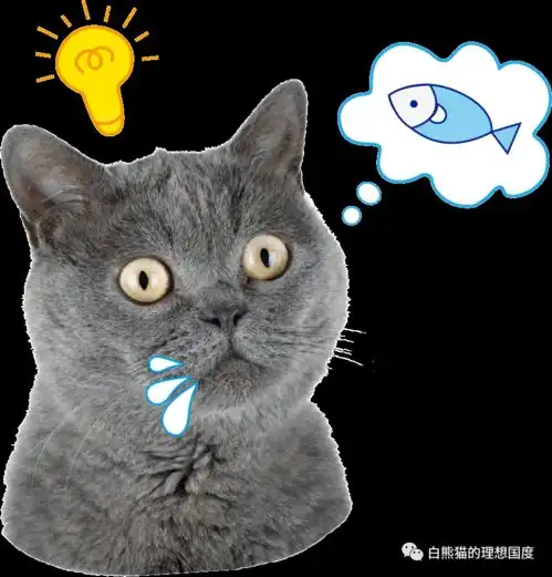 治愈系撸猫天堂,嘉兴南湖区首家换装猫咖来袭