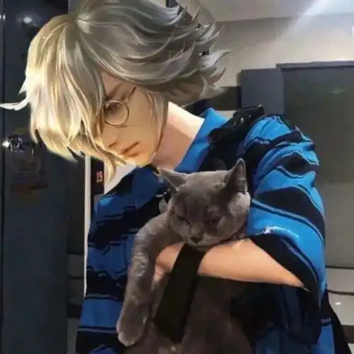猫系少年图片头像女埃尔