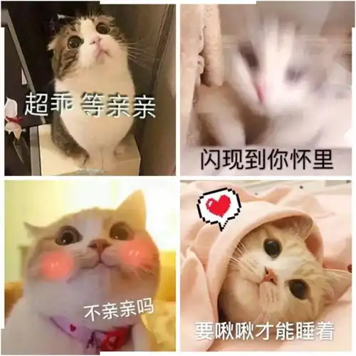 100张撩汉表情包,张张都是绝杀